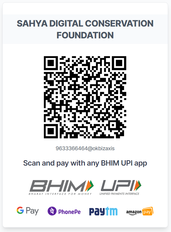 UPI payment to 9633366464@okbizaxis